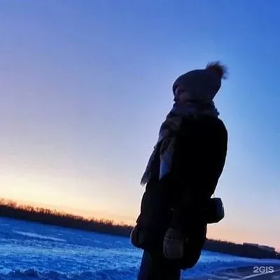 33 пингвина, Салехард